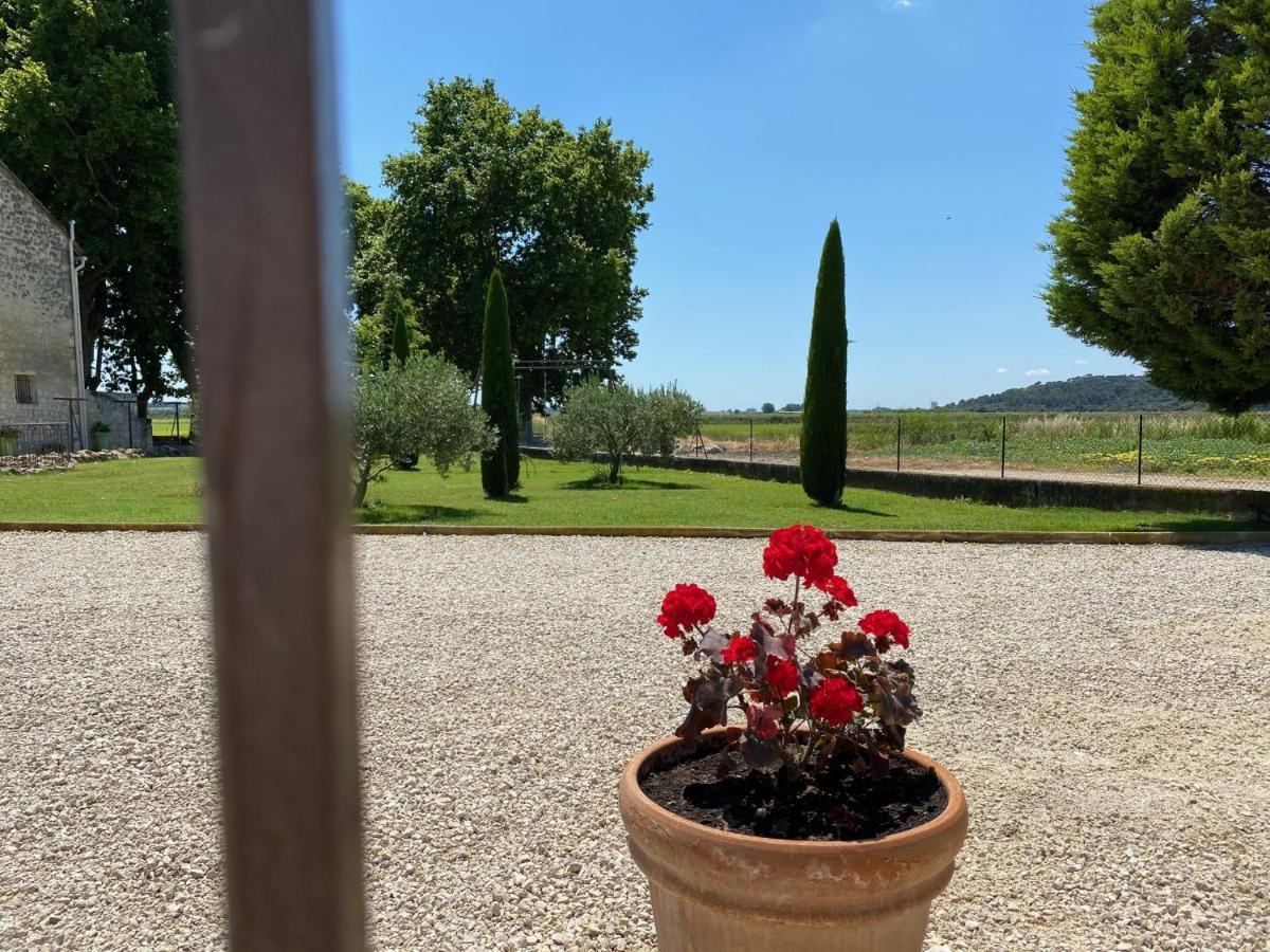 Le Domaine De Laforest Fontvieille Dış mekan fotoğraf